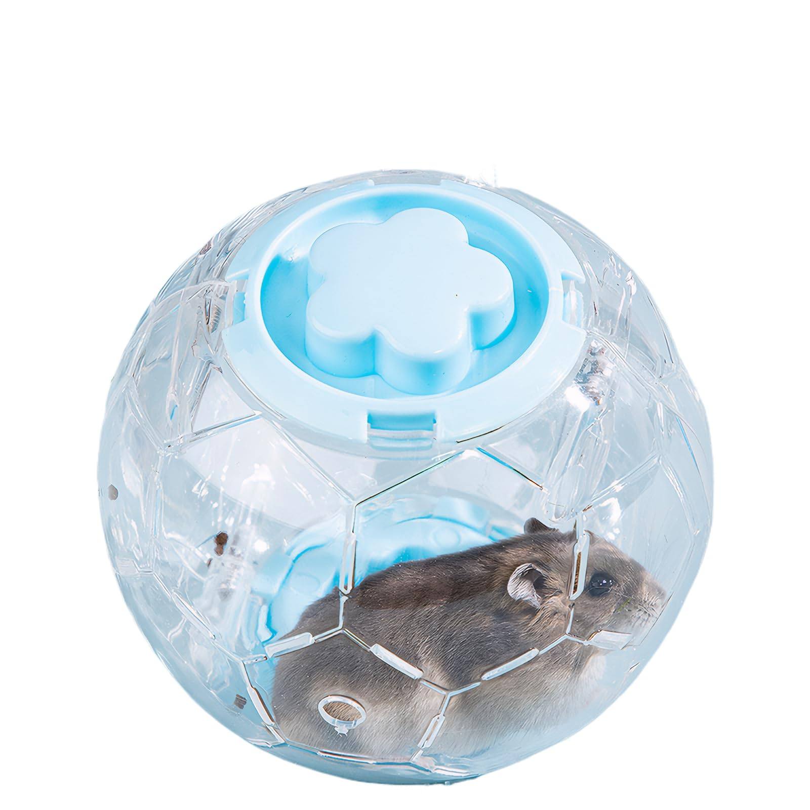 Illustration of Dwarf Hamster Ball Toys