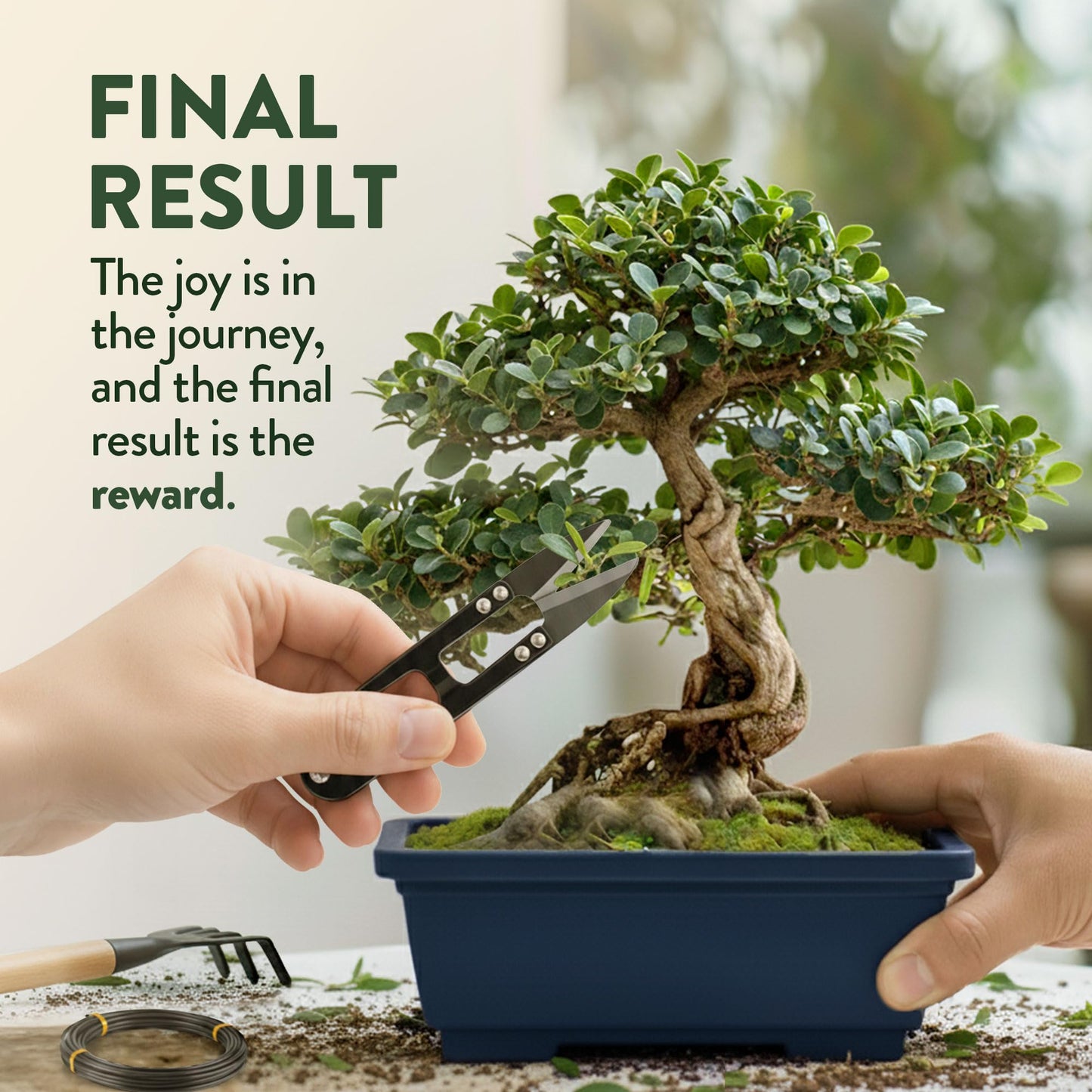 Phonery The Zen Bonsai Garden Kit