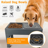Phonery Elevaty ® 2 in 1 Elevated Slow Feeder with No Spill Water Bowl-Getphonery
