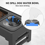 Phonery Elevaty ® 2 in 1 Elevated Slow Feeder with No Spill Water Bowl-Getphonery