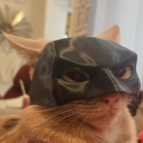 Phonery PurrHero ® Mask for Cat-Getphonery