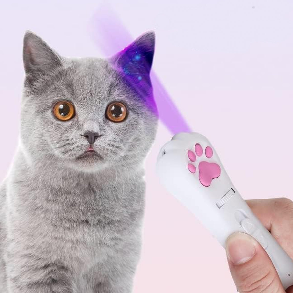 Phonery PurrLight  ® Cat Laser Toy-Getphonery