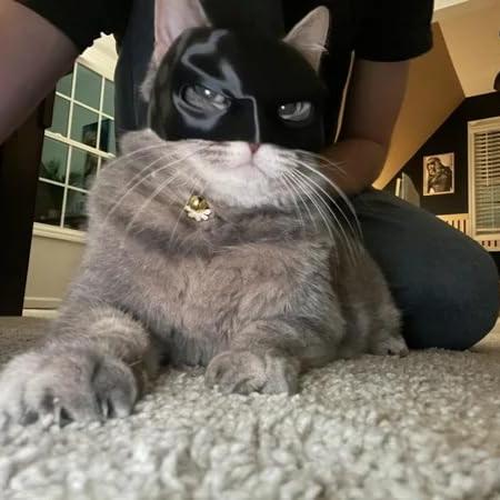 Phonery PurrHero ® Mask for Cat-Getphonery