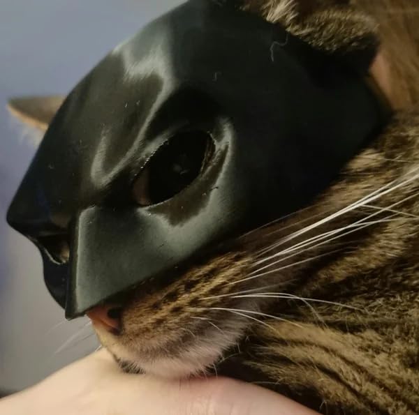 Phonery PurrHero ® Mask for Cat-Getphonery