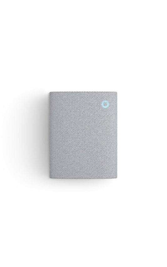 Phonery Echo Dot- Real Time Alert