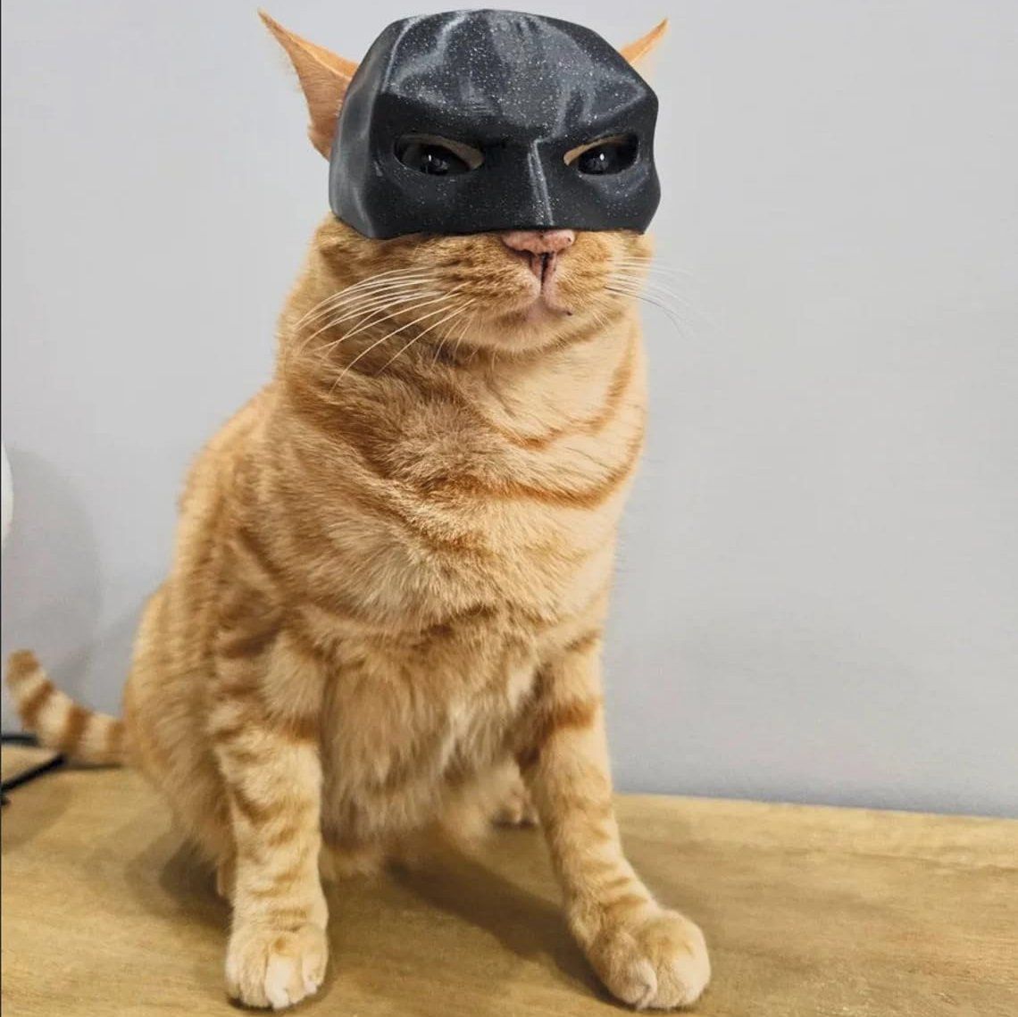 Phonery PurrHero ® Mask for Cat-Getphonery