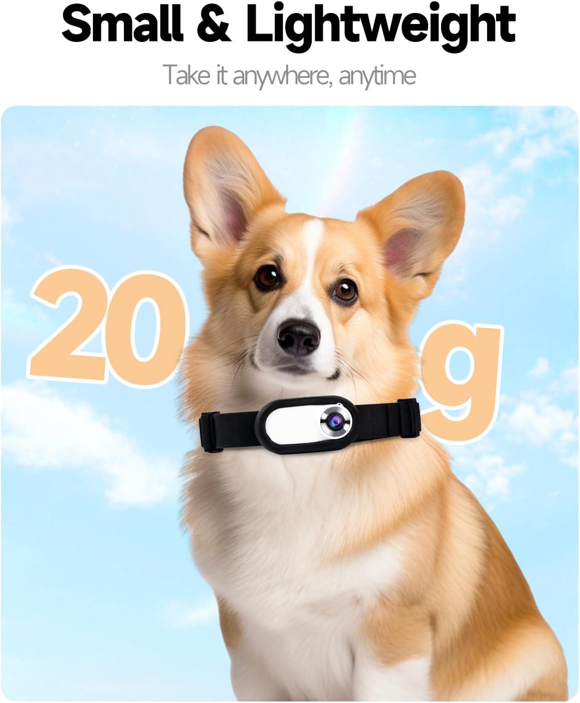 Phonery PetView ® Pet Collar Camera-Getphonery