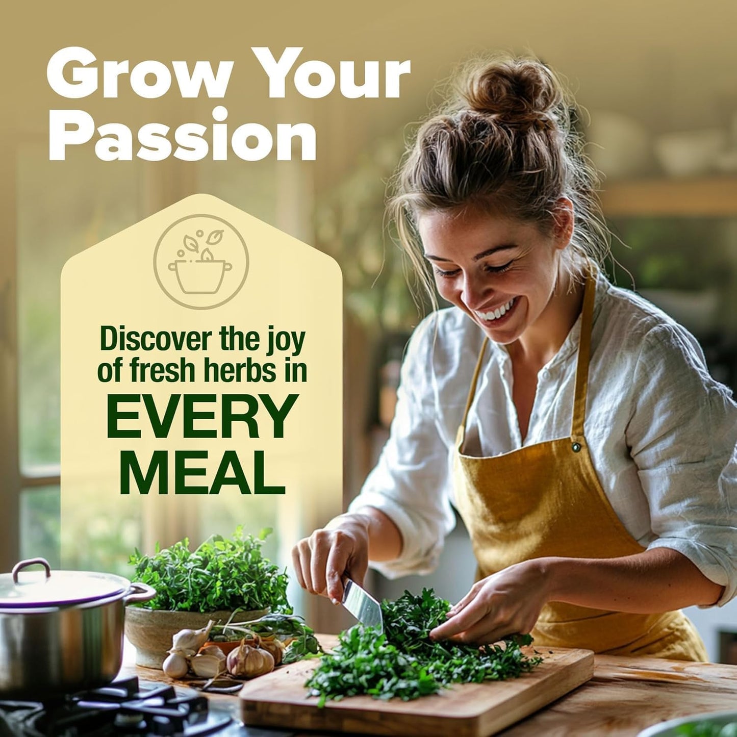 Phonery The Zen Bonsai Garden Kit