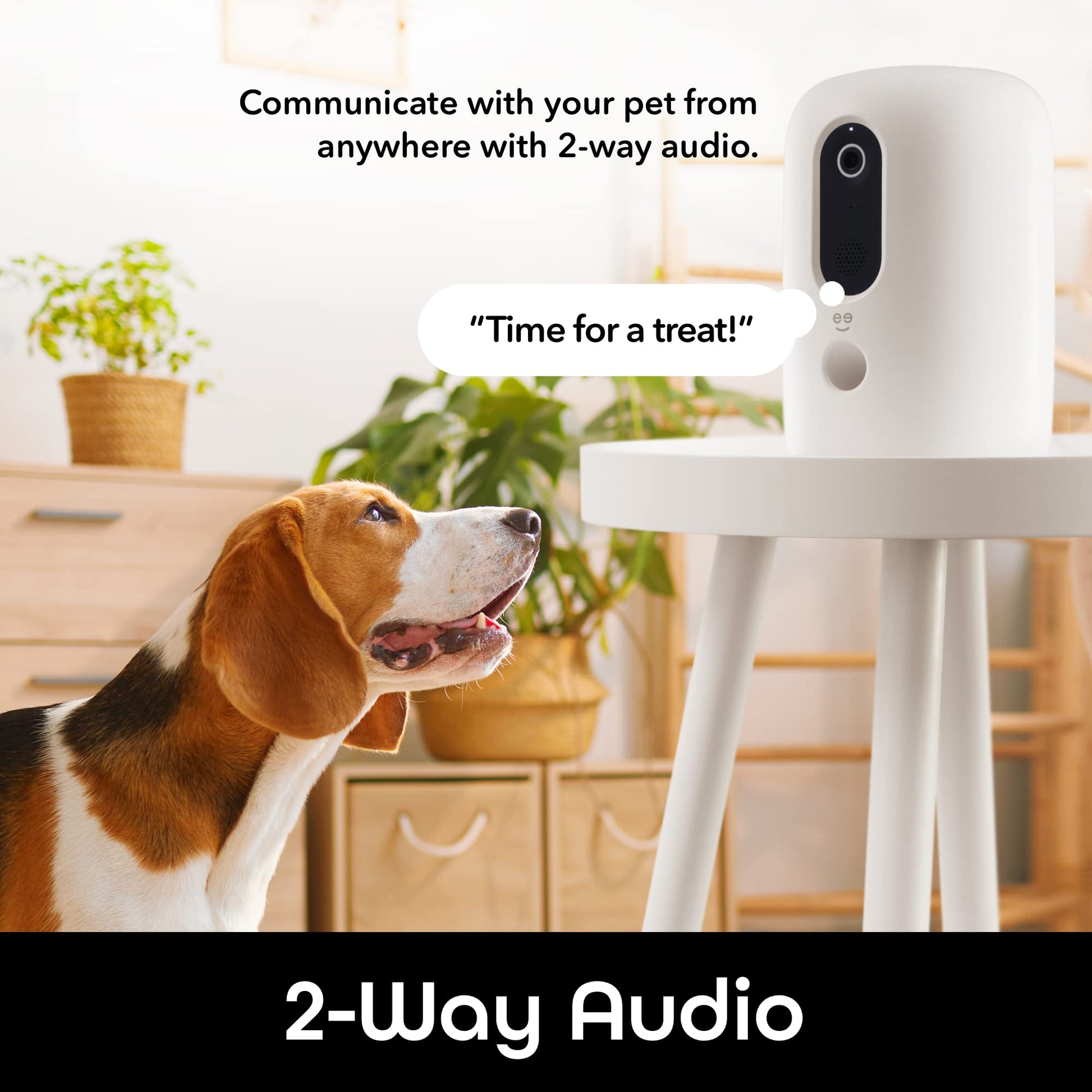 Phonery Pawsome ® Smart Automatic Pet Feeder-Getphonery