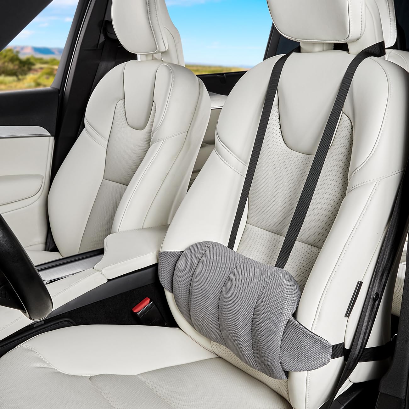 Phonery LumbroFlex ® Lumbar Support Pillow for Car