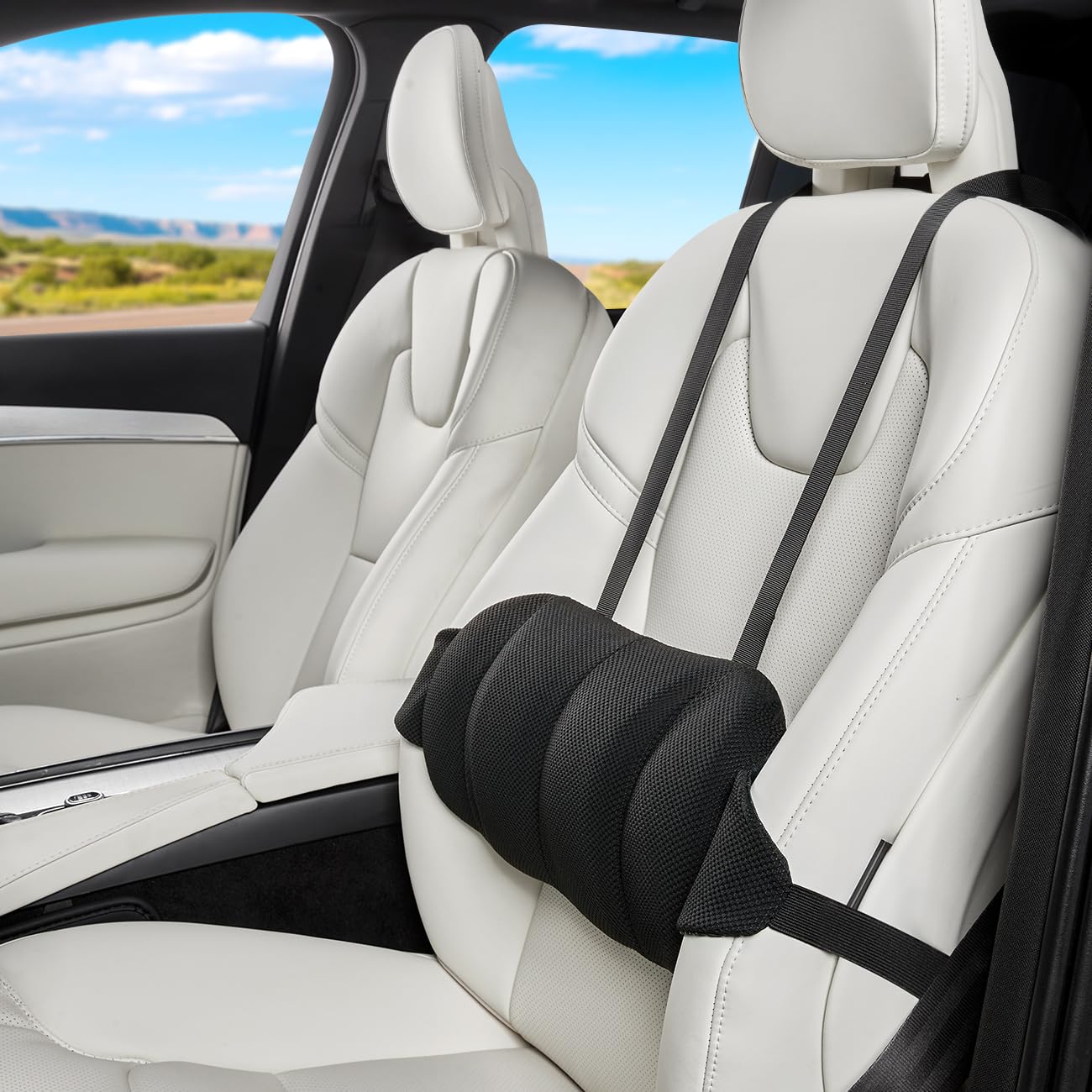 Phonery LumbroFlex ® Lumbar Support Pillow for Car