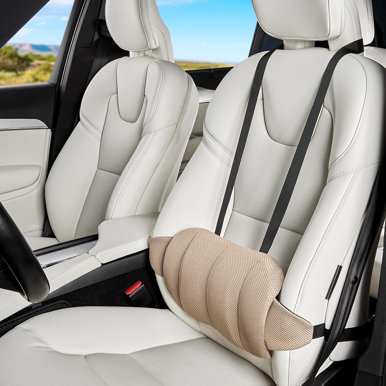 Phonery LumbroFlex ® Lumbar Support Pillow for Car