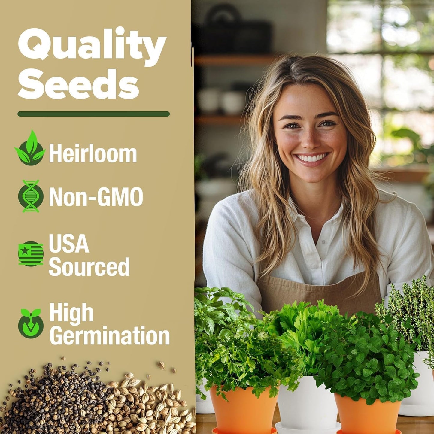 Phonery The Zen Bonsai Garden Kit