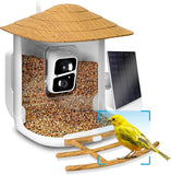 Phonery NestWatch ® Smart Bird Feeder with Camera-Getphonery