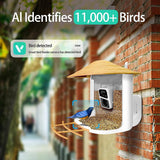 Phonery NestWatch ® Smart Bird Feeder with Camera-Getphonery