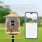 Phonery NestWatch ® Smart Bird Feeder with Camera-Getphonery