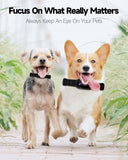 Phonery PetView ® Pet Collar Camera-Getphonery