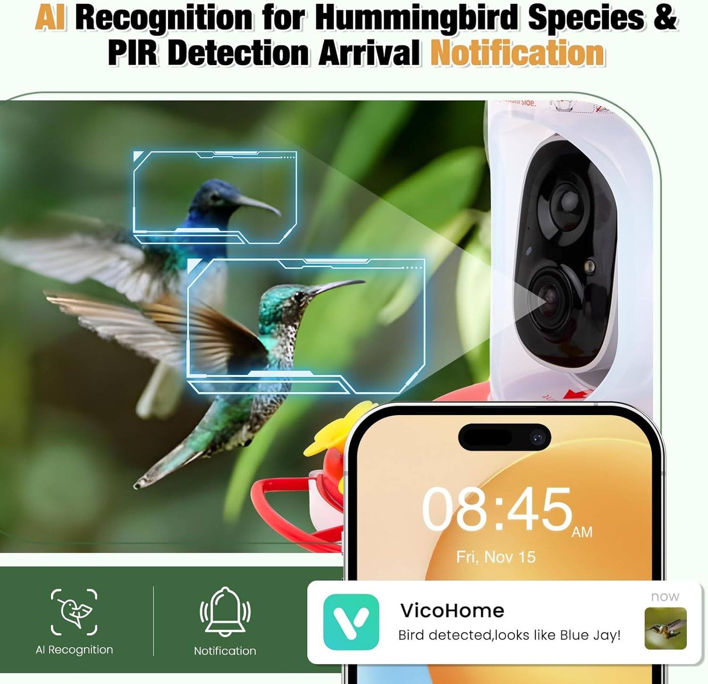 Phonery BirdWise ® Hummingbird Feeder with Camera-Getphonery