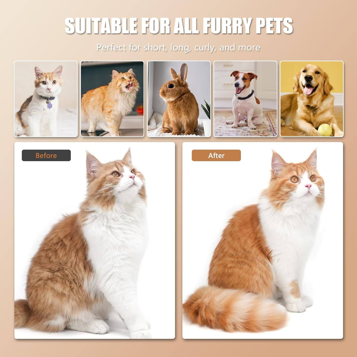 Phonery SilkyFur ® Cat Steam Brush-Getphonery