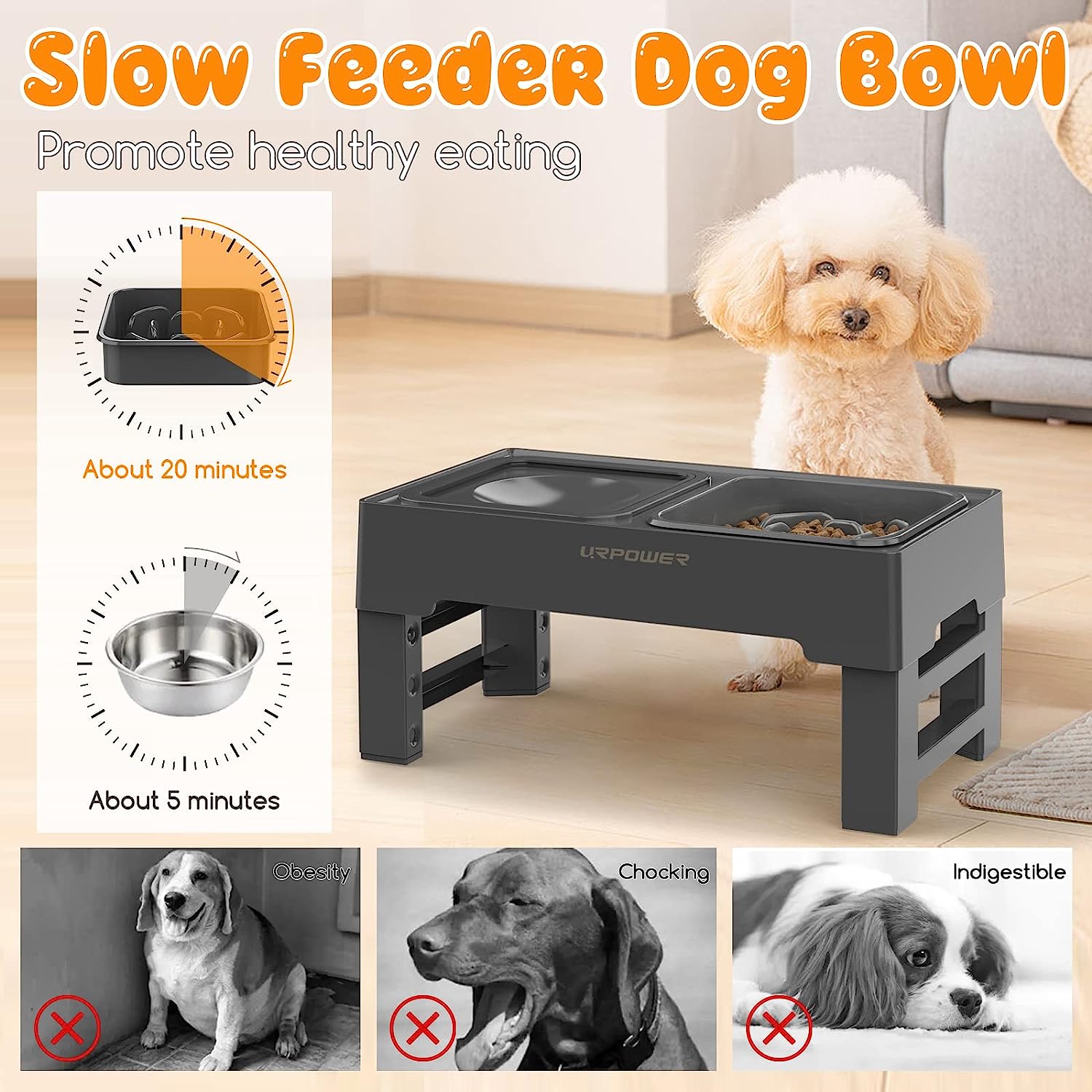 elevated dog bowl.-Phonery Elevaty ® 2 in 1 Elevated Slow Feeder with No  Spill Water Bowl-Getphonery