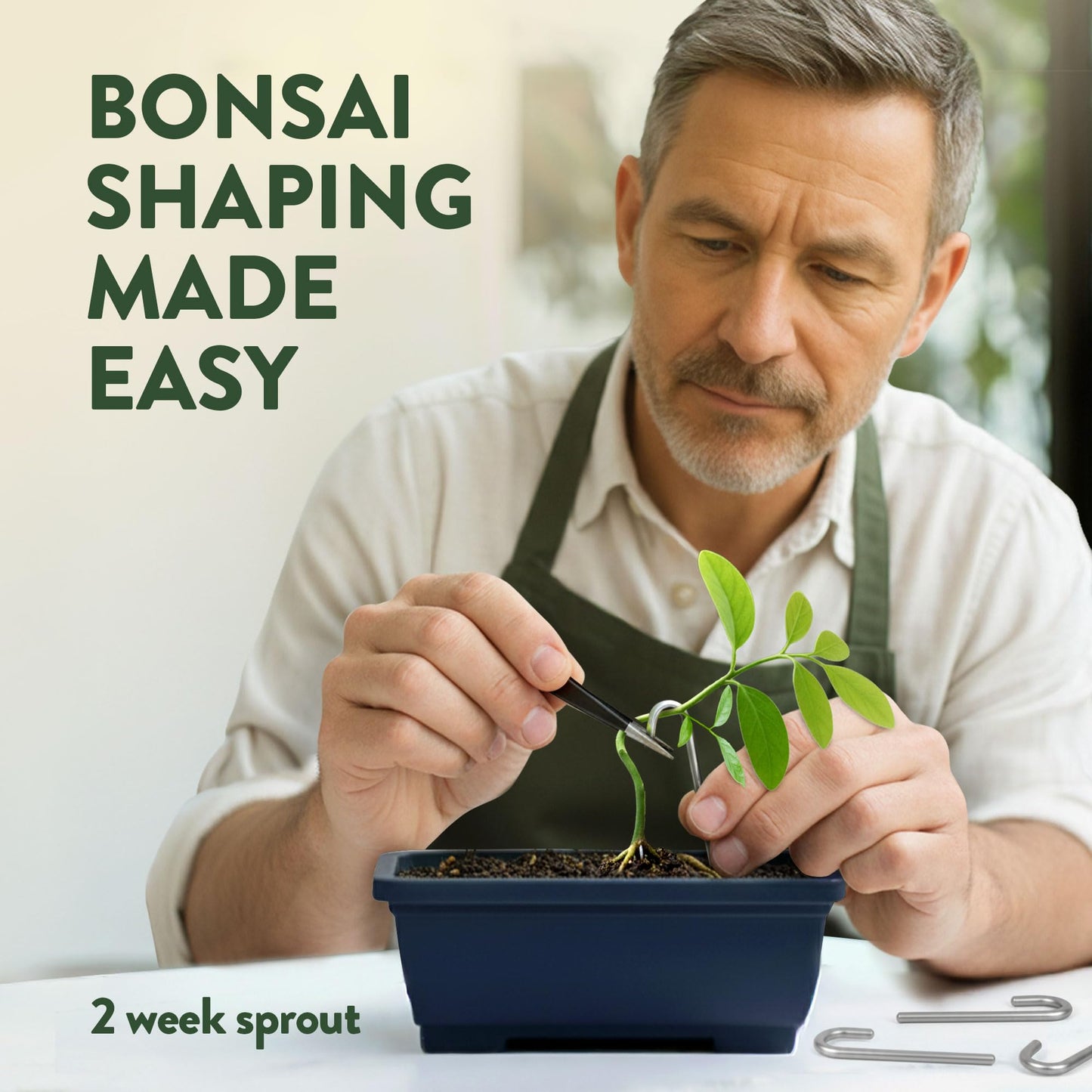 Phonery The Zen Bonsai Garden Kit