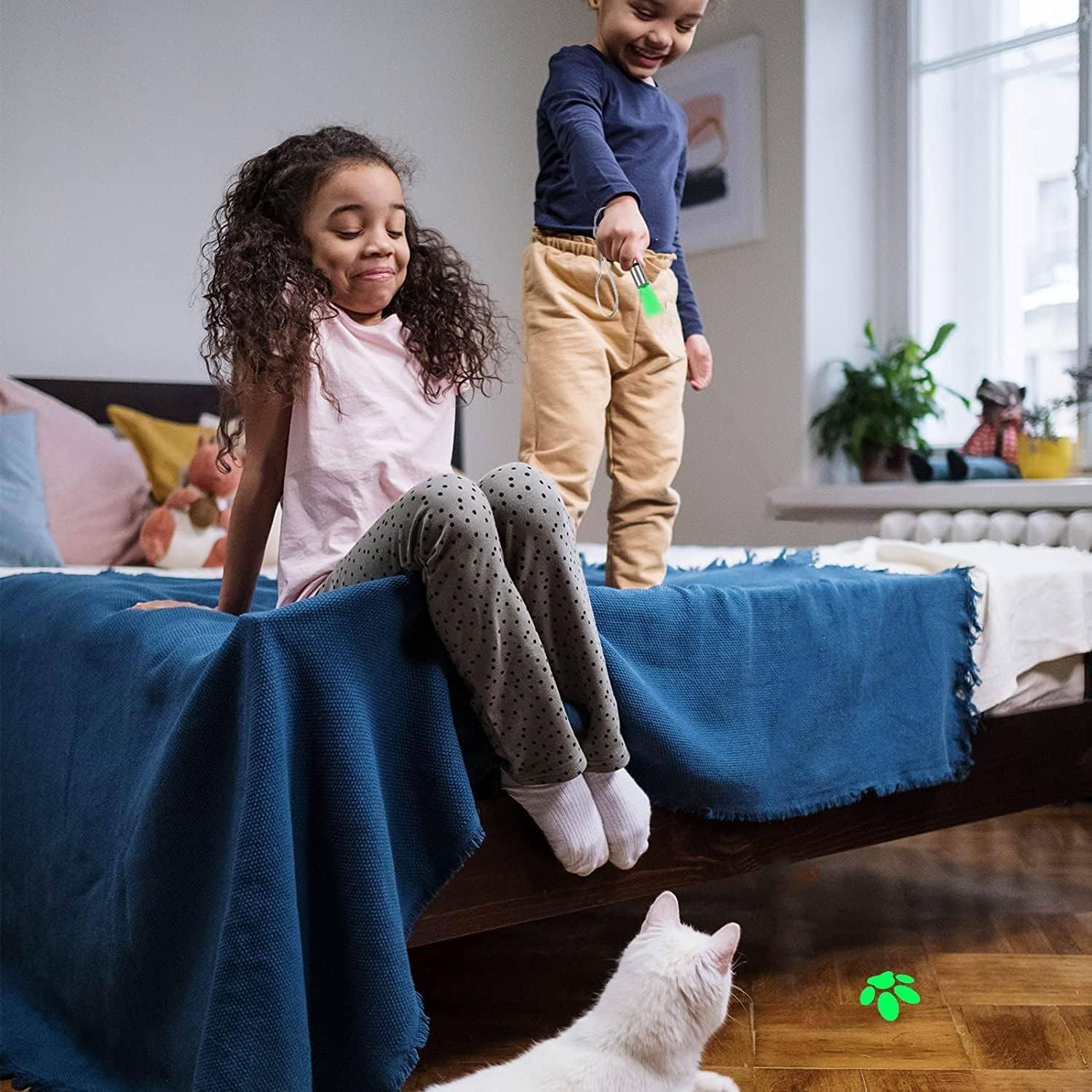 Phonery PurrLight  ® Cat Laser Toy-Getphonery