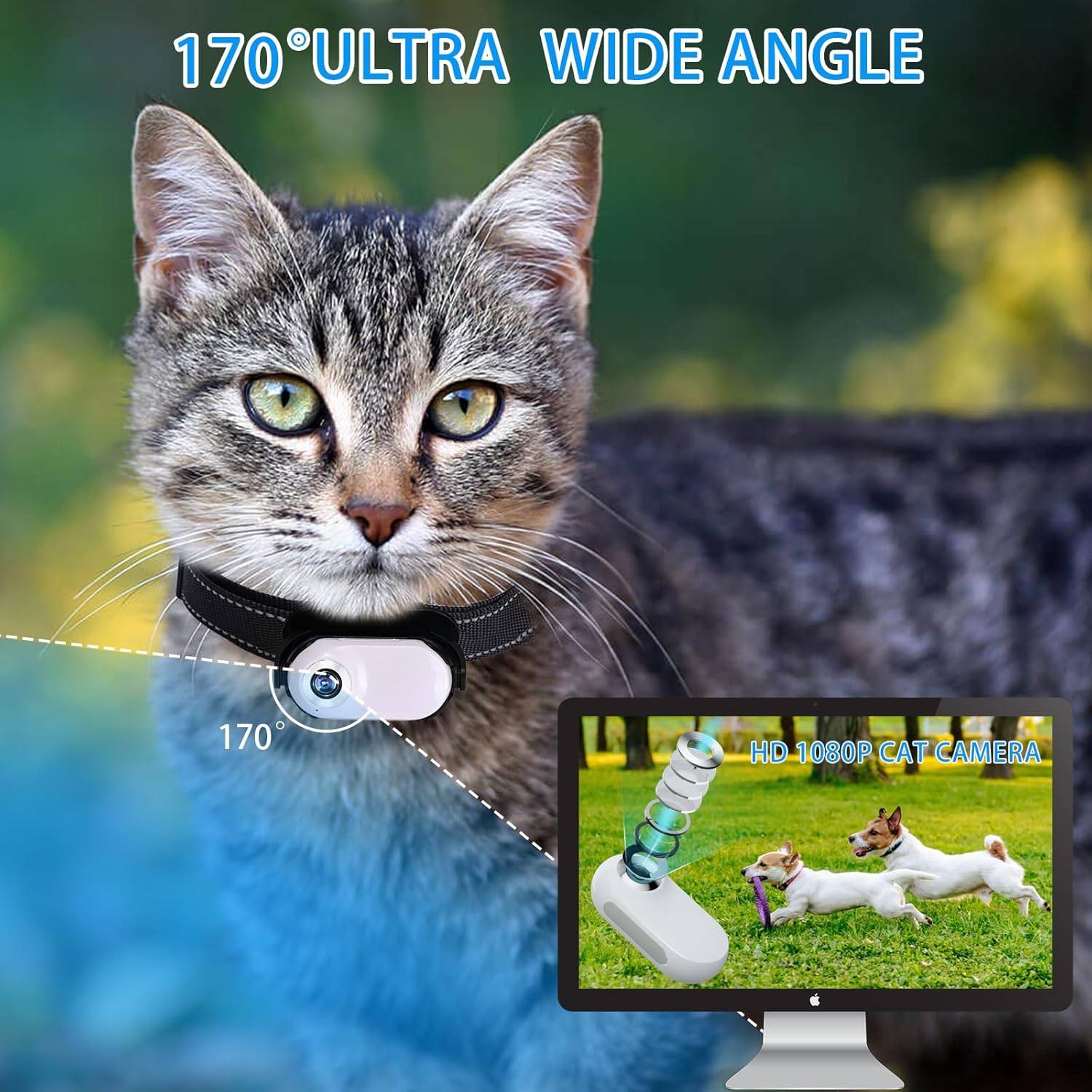 Phonery TailTrail ® Pet Collar Camera-Getphonery