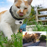 Pet Collar Camera - Phonery TailTrail ® Pet Collar Camera