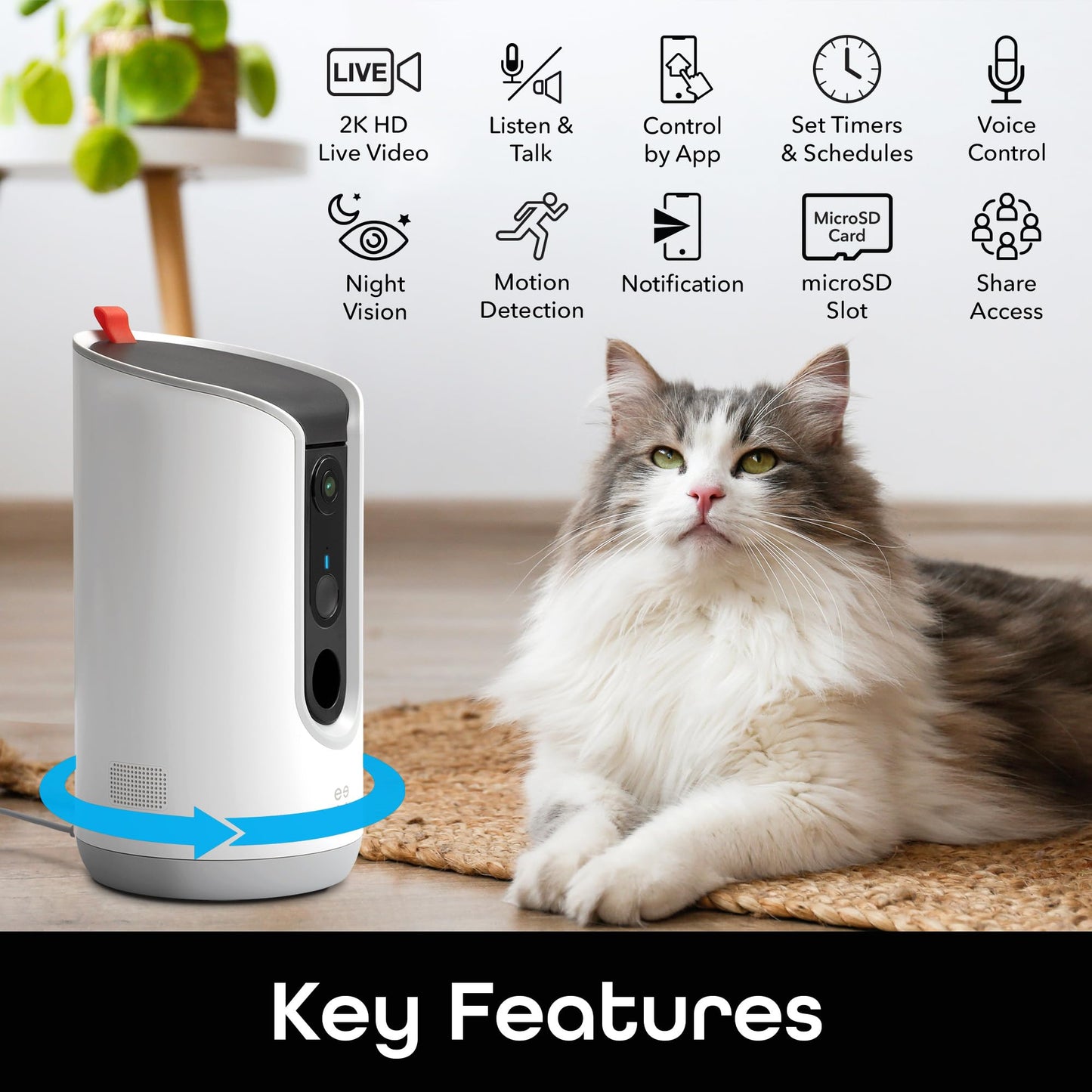 Phonery Pawsome ® Smart Automatic Pet Feeder-Getphonery