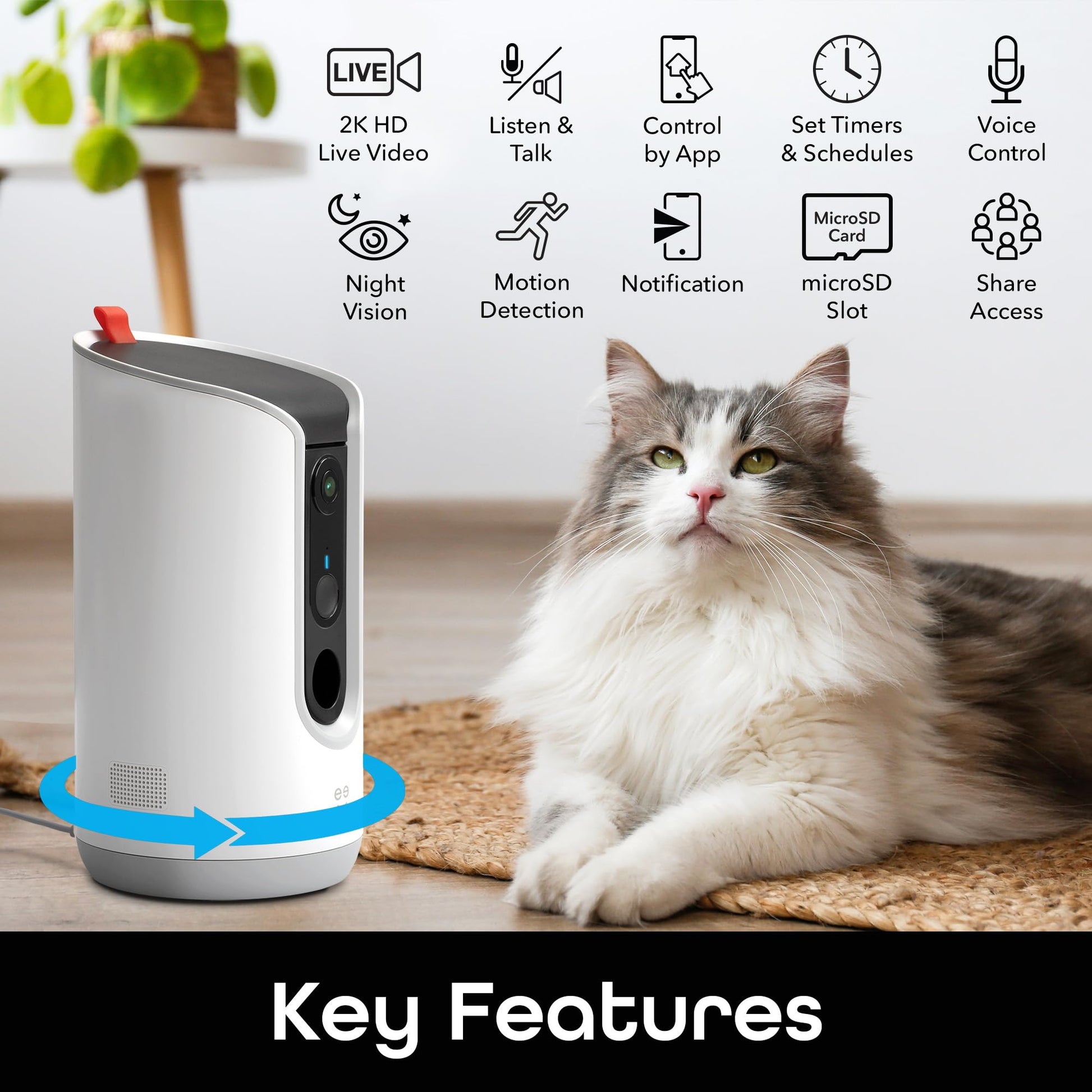 Phonery Pawsome ® Smart Automatic Pet Feeder-Getphonery