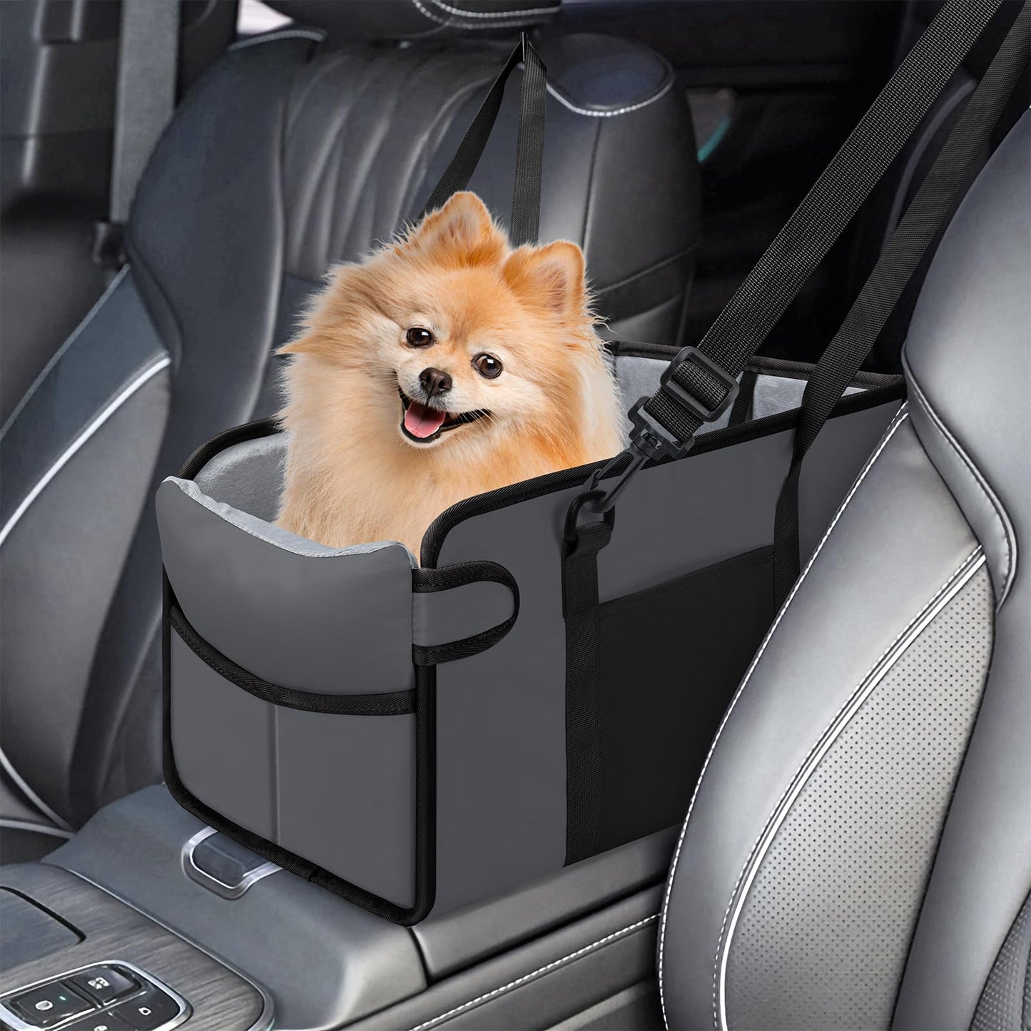 Phonery PawPilot ® Safety Car Seats For Small Dogs