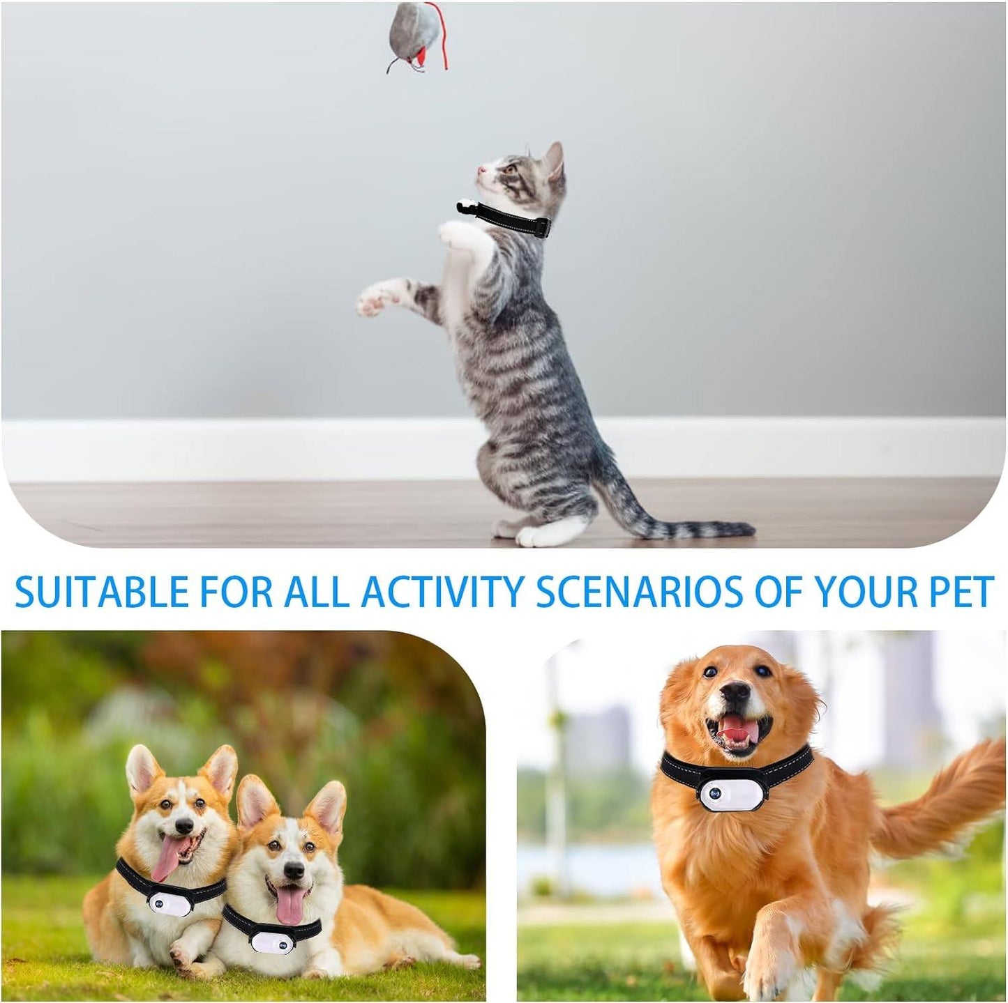 Phonery TailTrail ® Pet Collar Camera-Getphonery