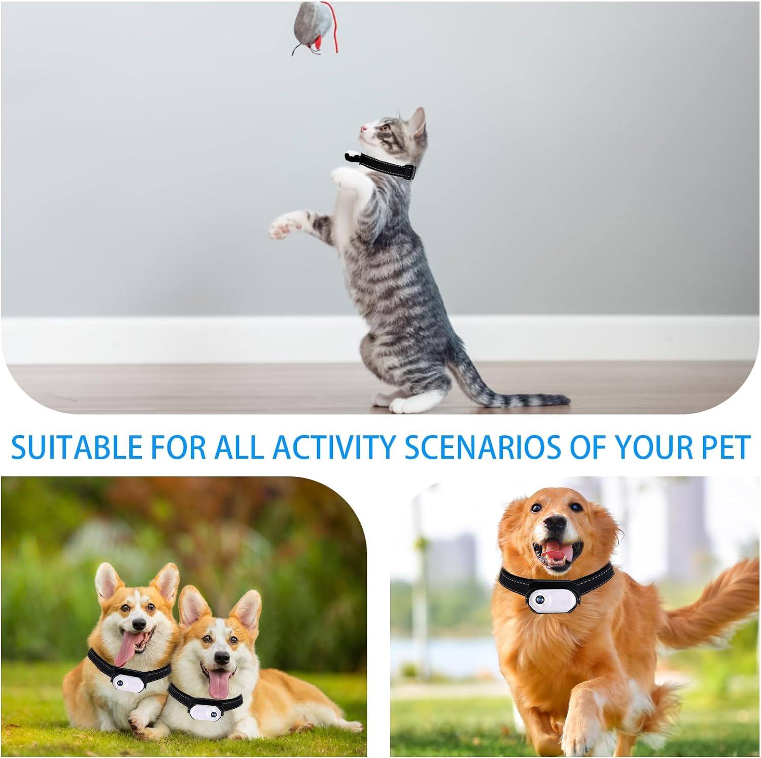 Phonery TailTrail ® Pet Collar Camera-Getphonery