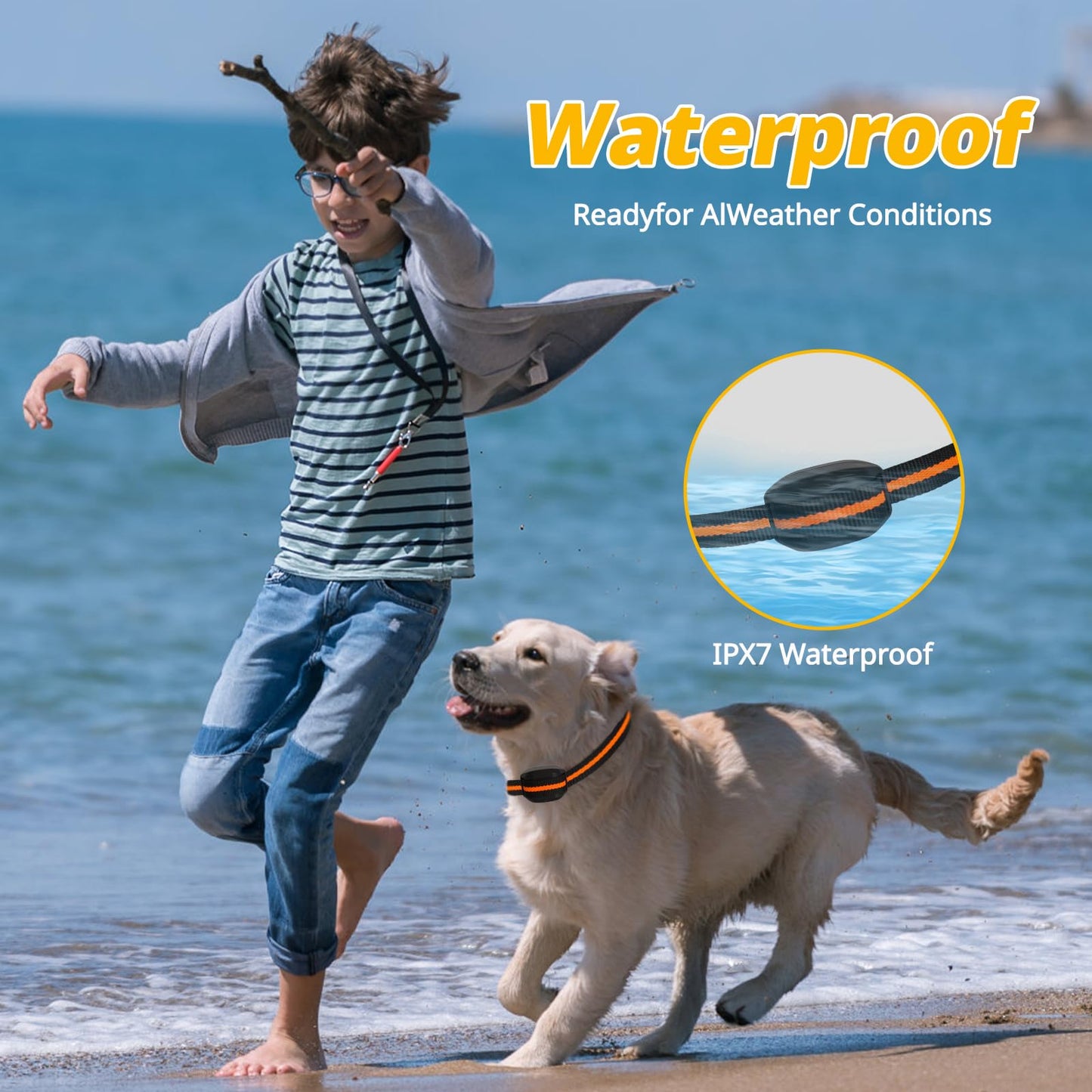 Phonery Pawsitive ® Training Collar for Small Dogs-Getphonery