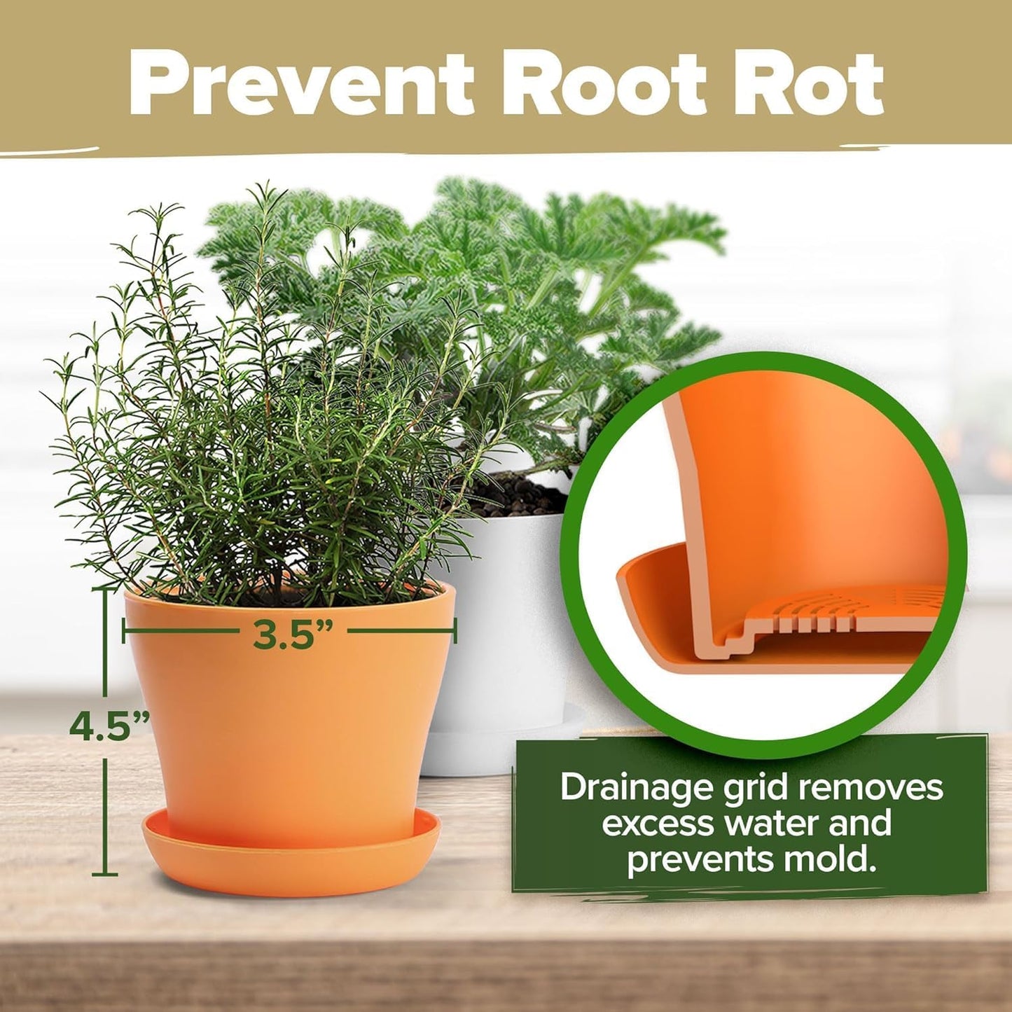 Phonery The Zen Bonsai Garden Kit