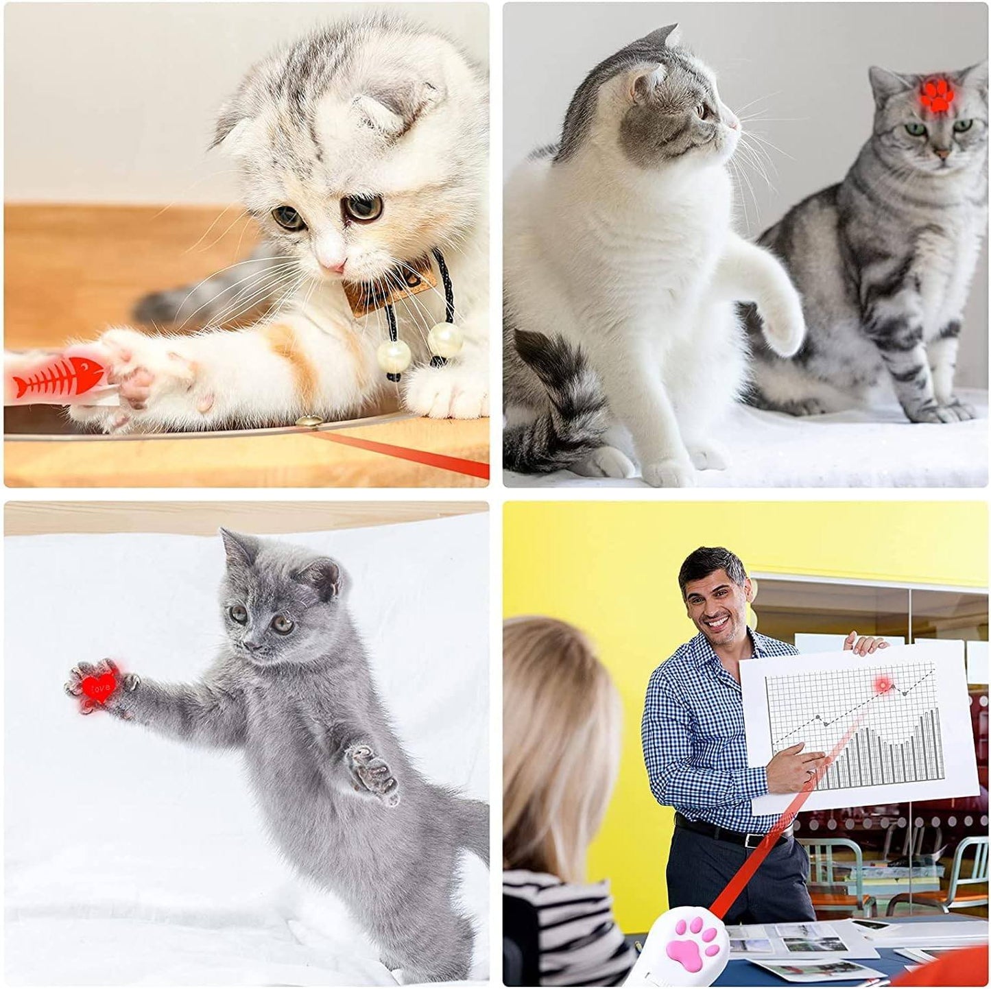 Phonery PurrLight  ® Cat Laser Toy-Getphonery