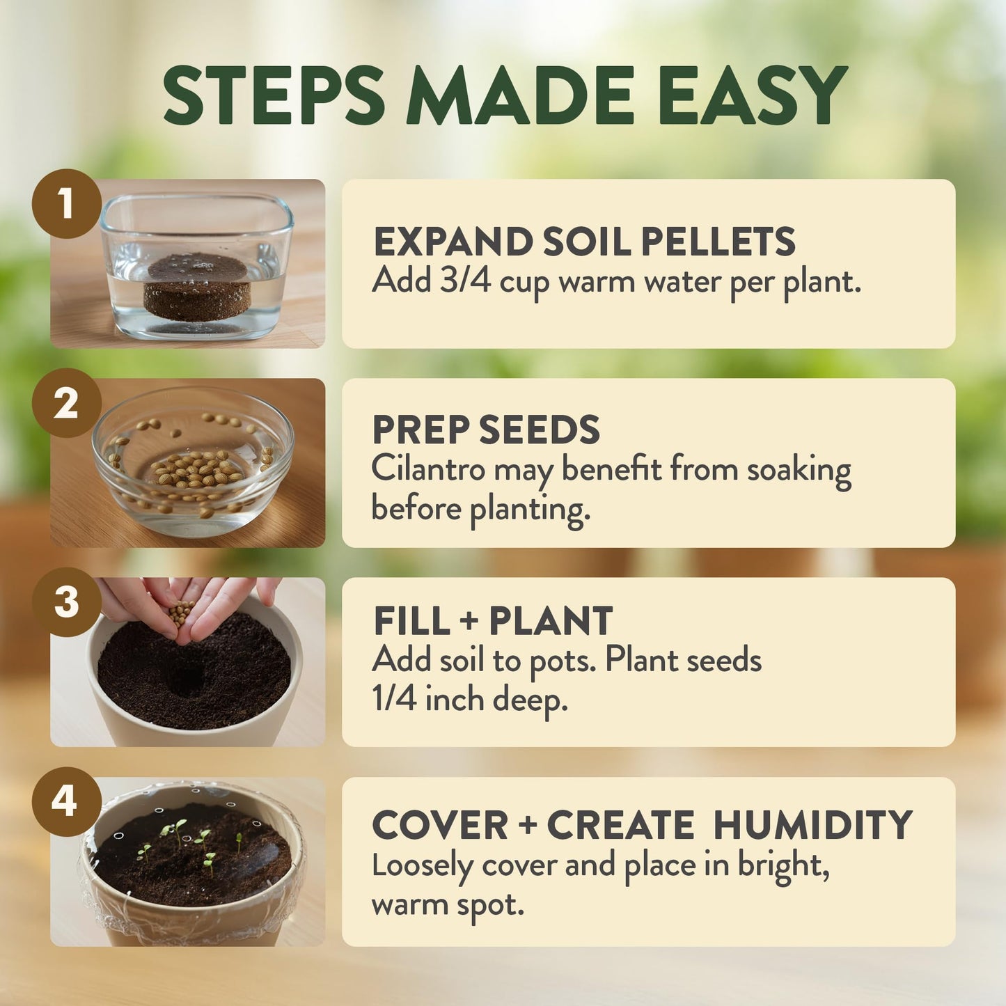 Phonery The Zen Bonsai Garden Kit