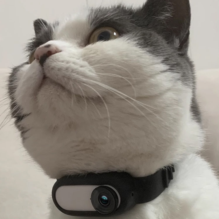 pet cam chien chat collier mini caméra numérique dvr vidéo eyeview