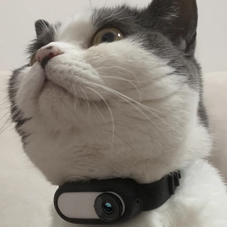 Phonery PetView ® Pet Collar Camera-Getphonery