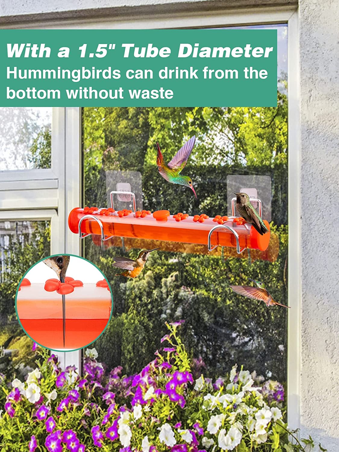 Phonery Feedr ® Window Hummingbird Feeder-Getphonery