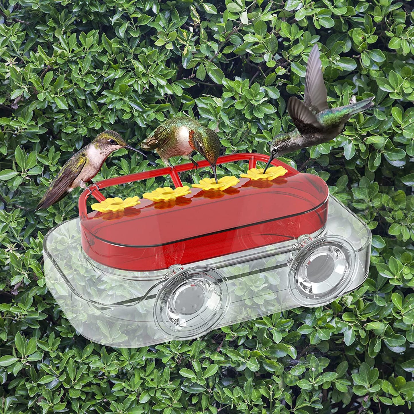 Phonery Nectar ® Hummingbird Feeder-Getphonery