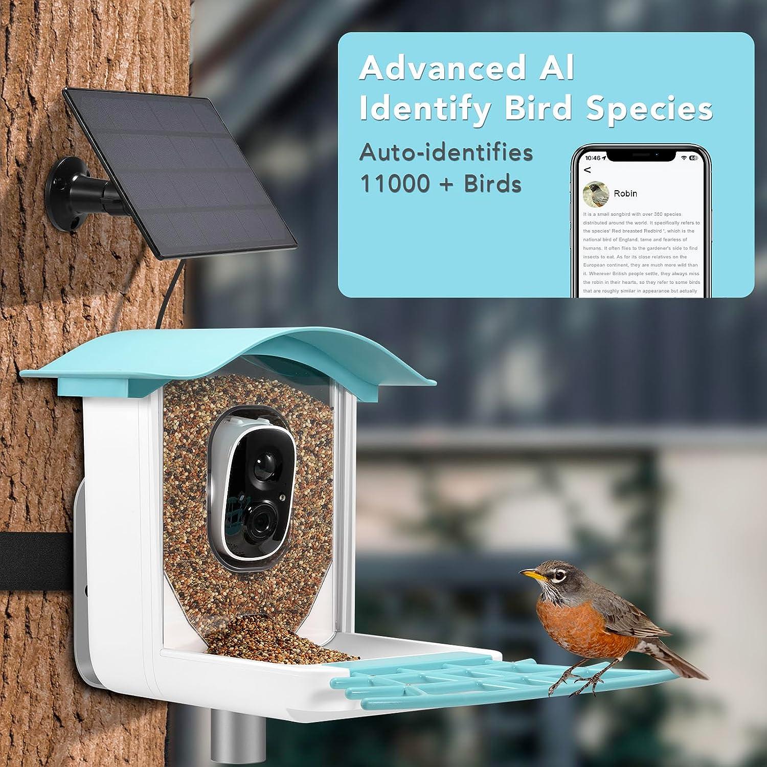 Phonery BirdieView ® Bird Feeder with Camera-Getphonery