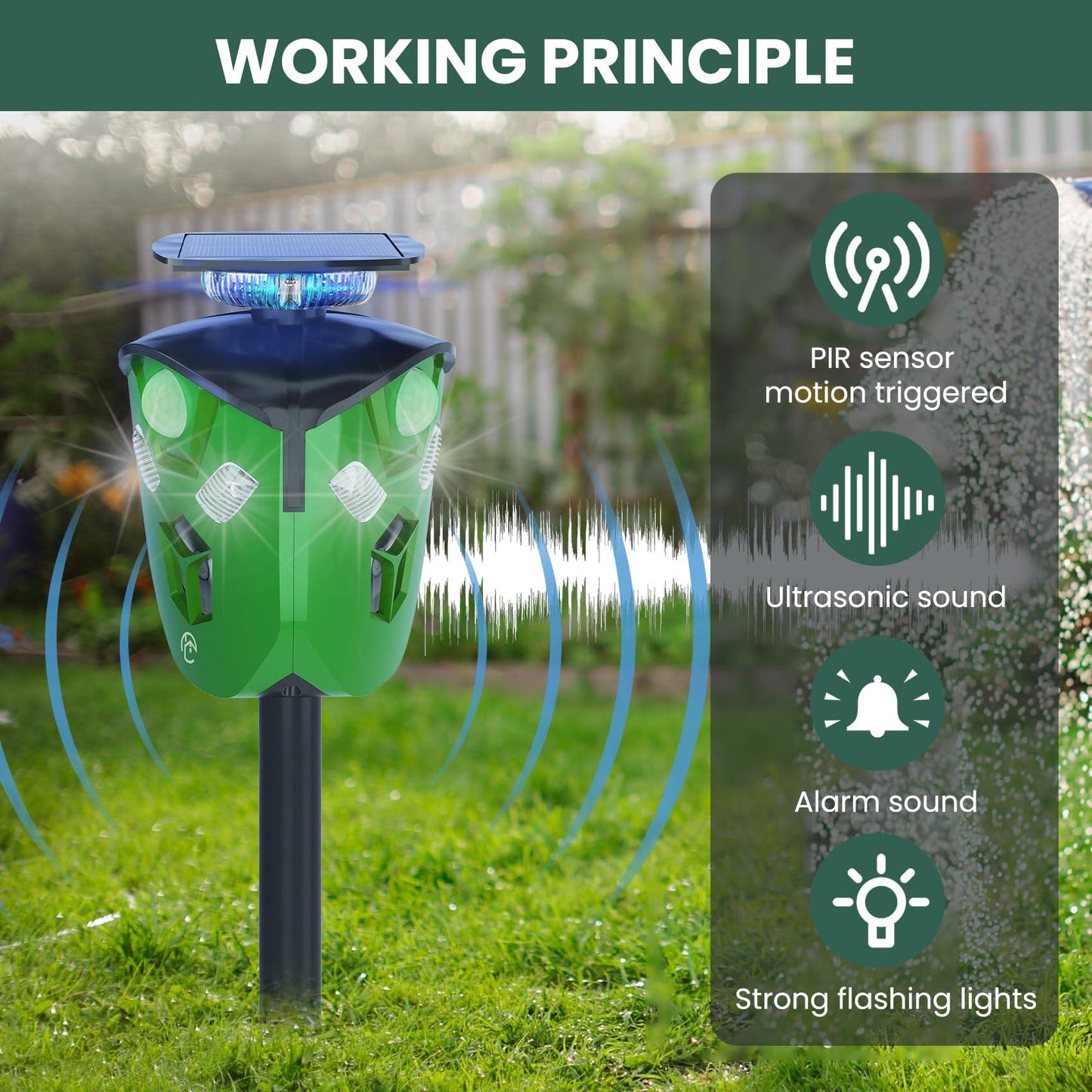 Phonery AquaGlow ® Ultrasonic Animal Repeller-Getphonery