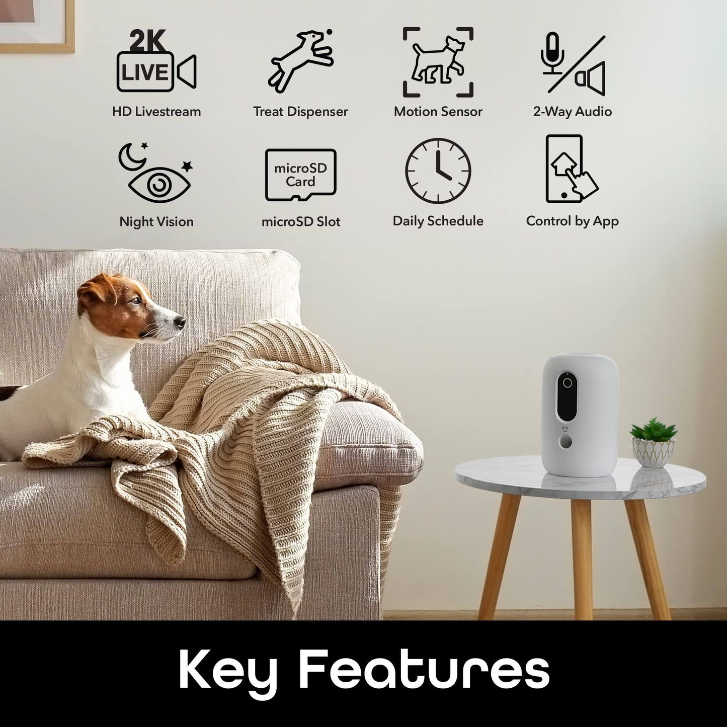 Phonery Pawsome ® Smart Automatic Pet Feeder-Getphonery