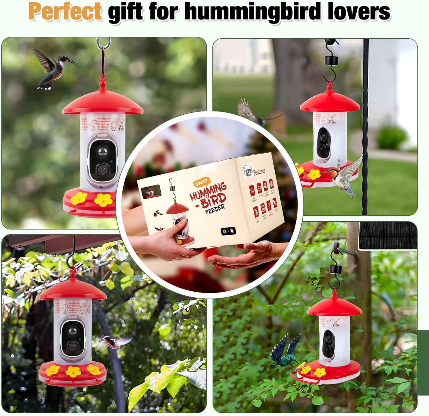 Phonery BirdWise ® Hummingbird Feeder with Camera-Getphonery
