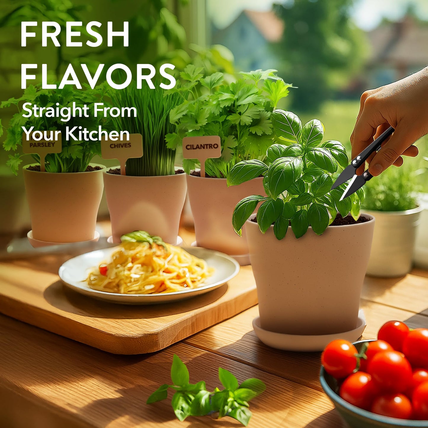 Phonery The Zen Bonsai Garden Kit