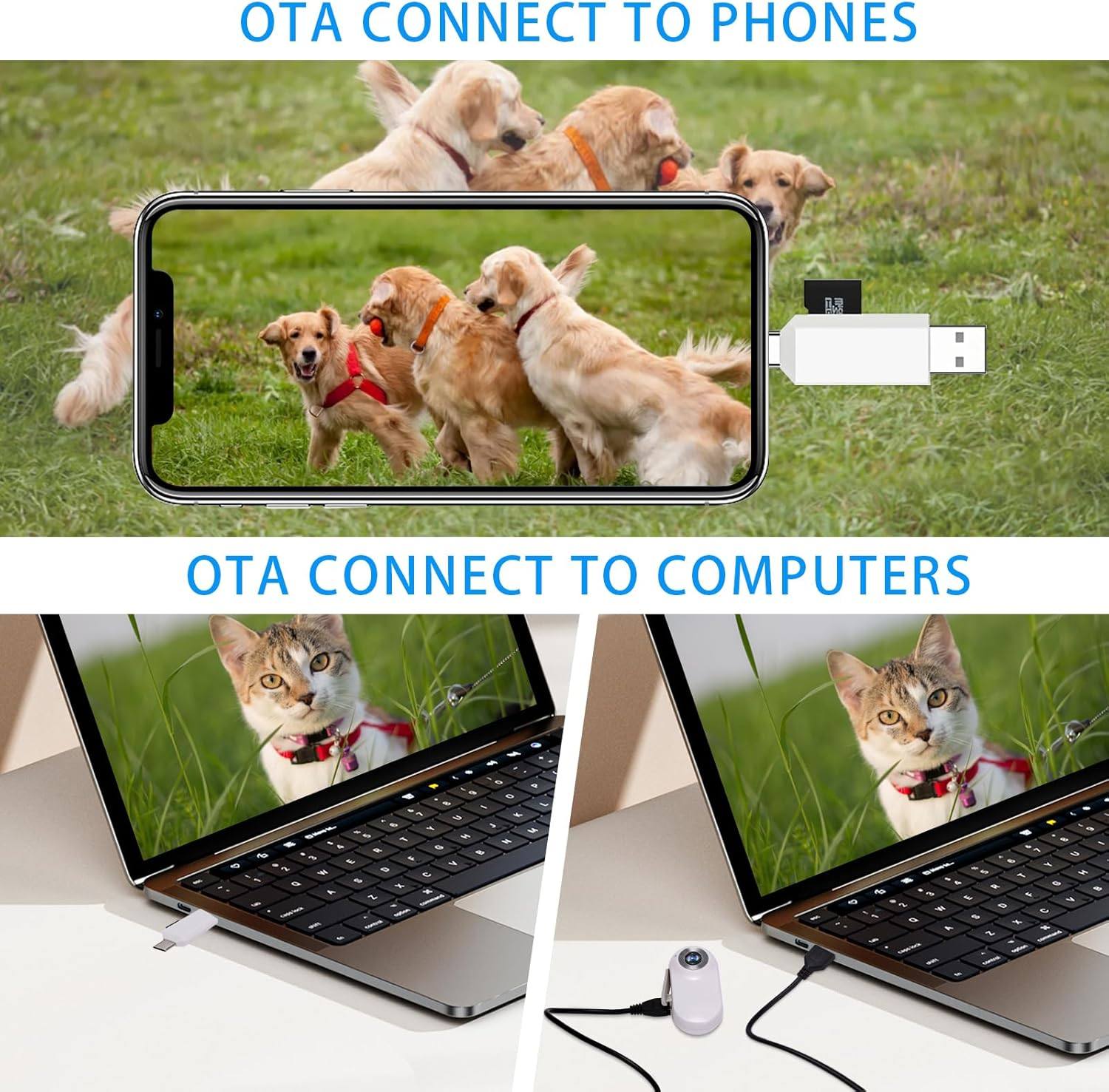 Phonery TailTrail ® Pet Collar Camera-Getphonery