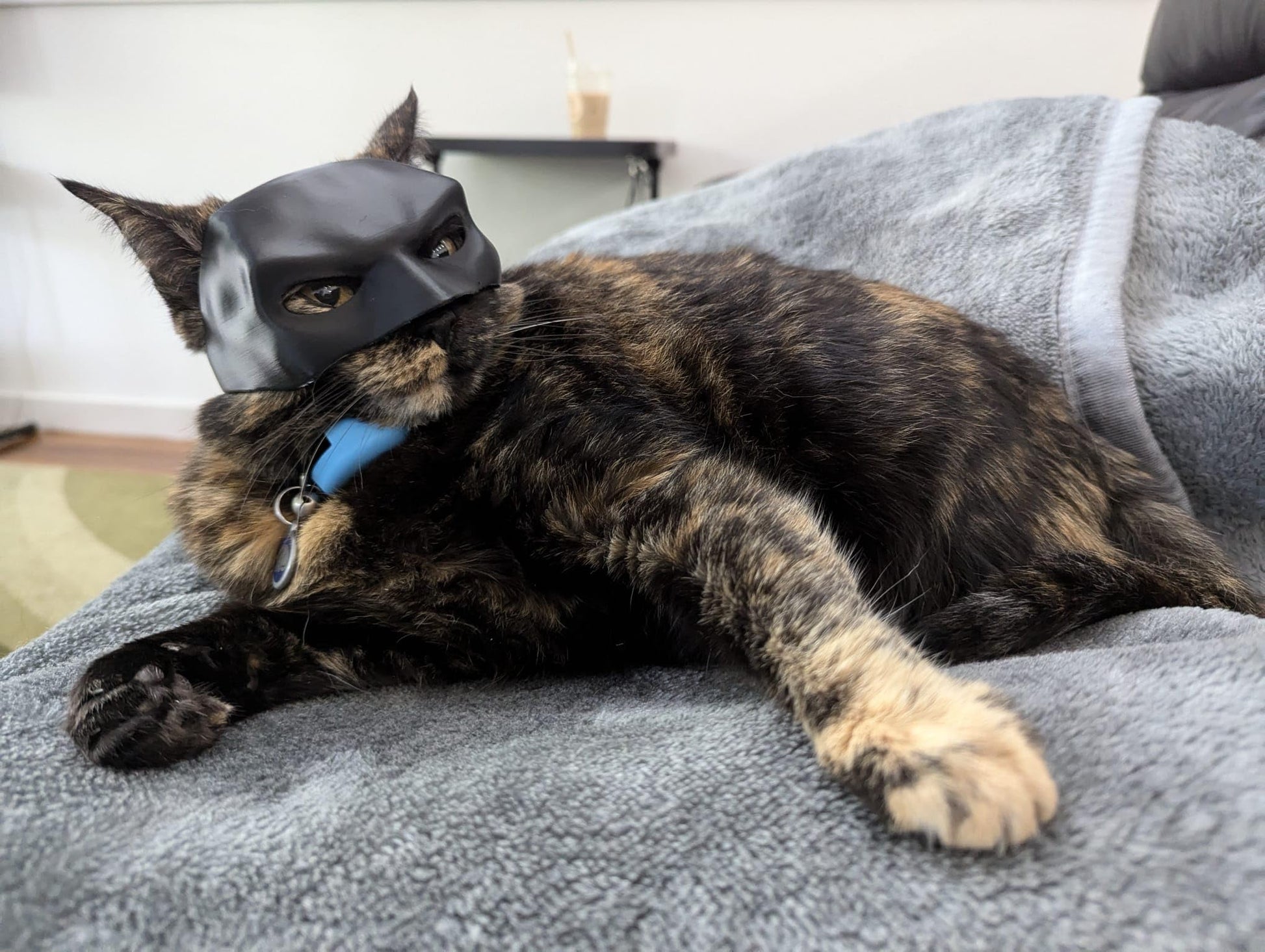 Phonery PurrHero ® Mask for Cat-Getphonery