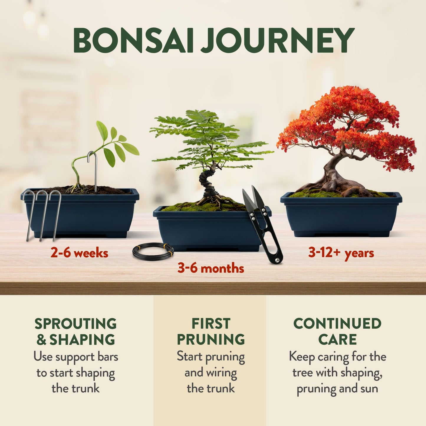 Phonery The Zen Bonsai Garden Kit