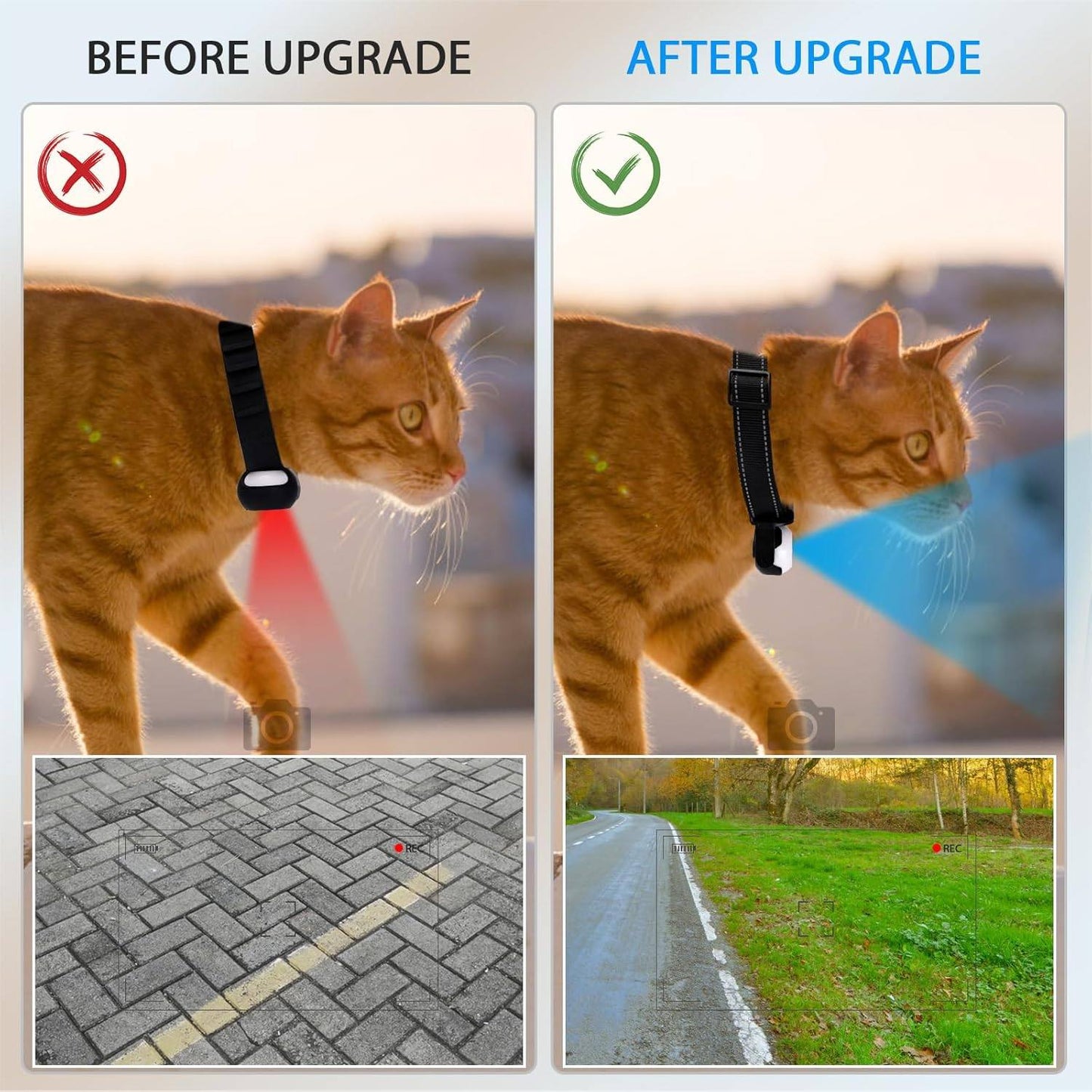 Phonery TailTrail ® Pet Collar Camera-Getphonery